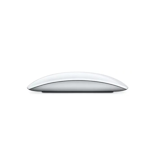 MAGIC MOUSE01